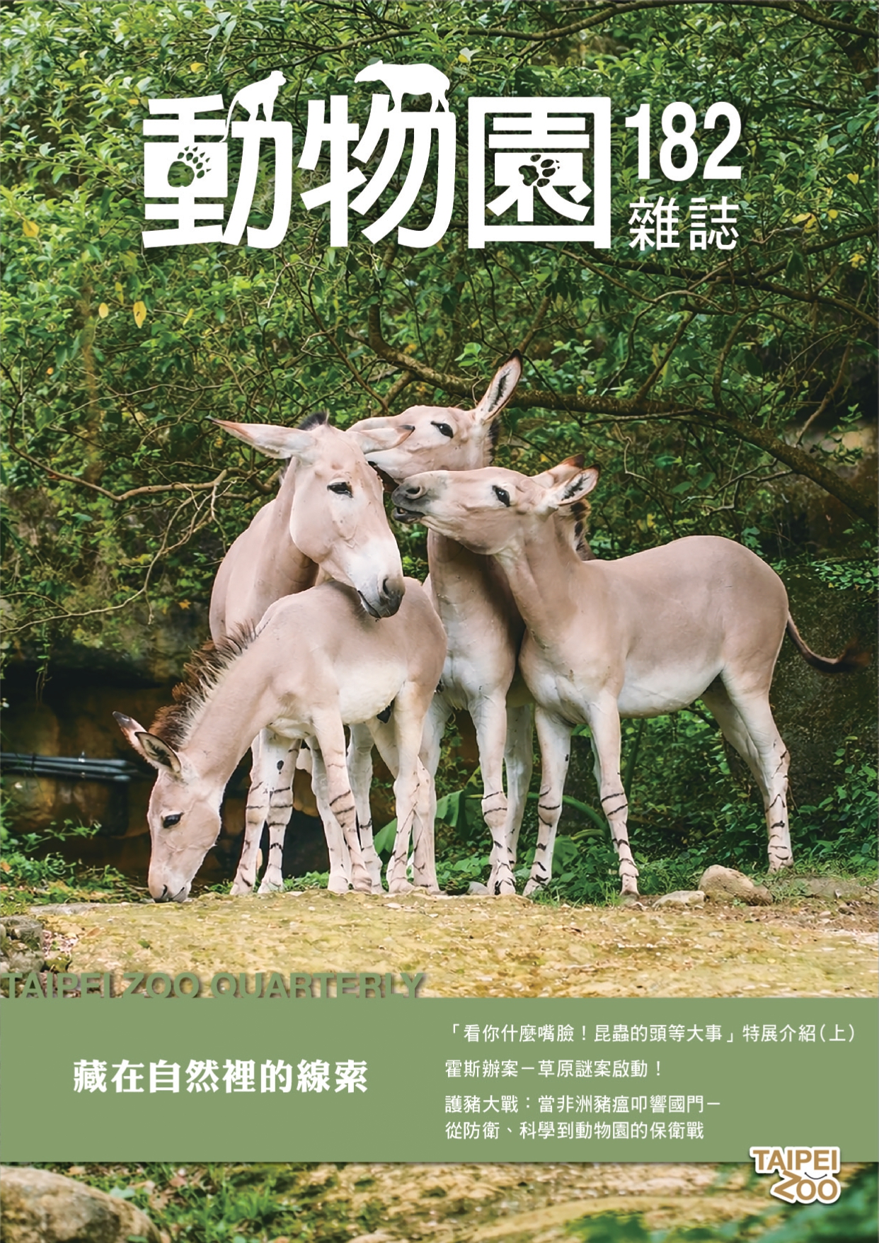 出版品封面圖
